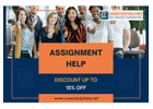 Looking for Assignment Help for University Students