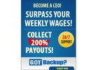 Backup solutions with rewards