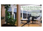 Experience the Benefits of Office Plants from Garden On Hire