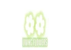 Florist pascoe vale  -Living Flowers                                                                