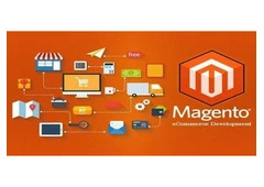 Magento website development services in Georgia