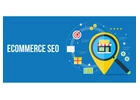 Stand Out in the Online Marketplace with SEO Spidy's Tailored Ecommerce Marketing Solutions in India